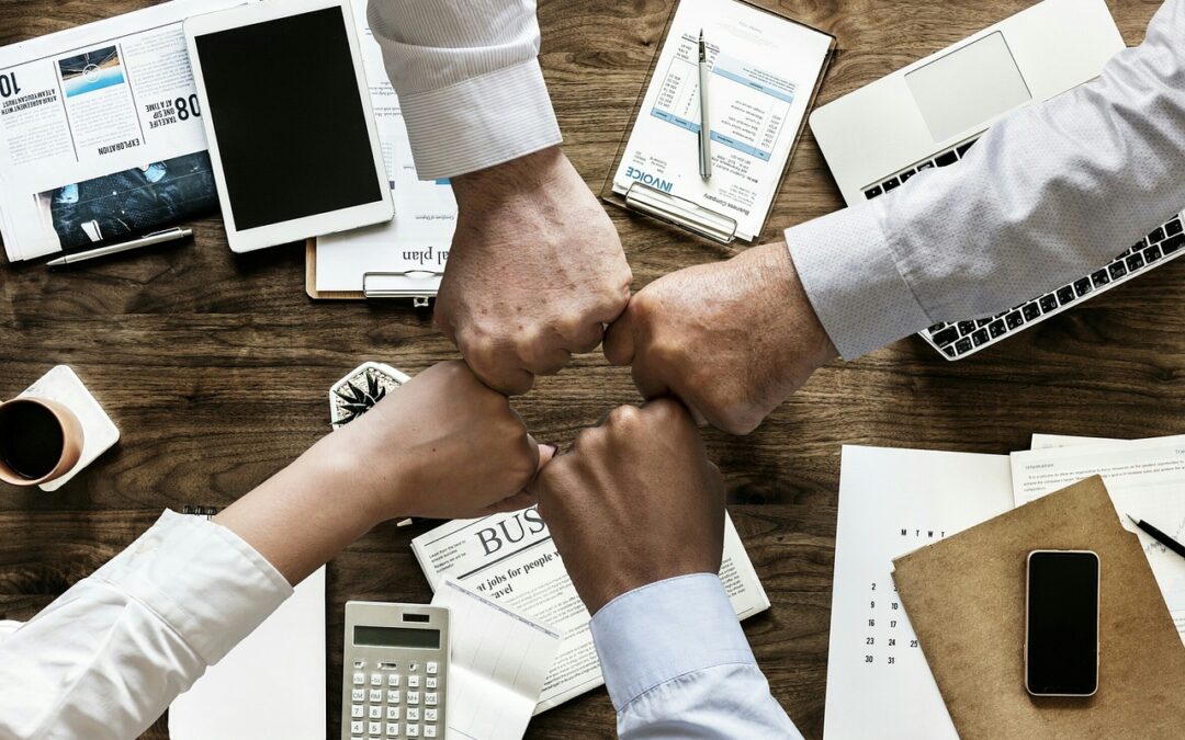 Neuer PMA Partner – mgm consulting partners